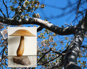 Woodturned Mushroom from limbwood